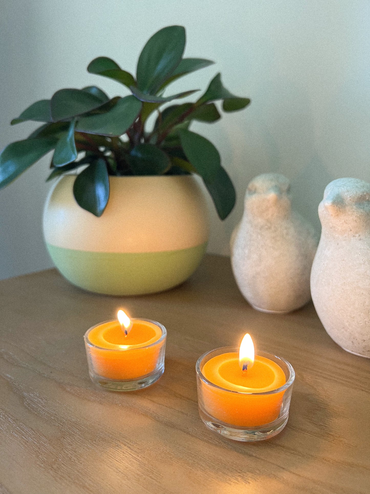 The Tealights