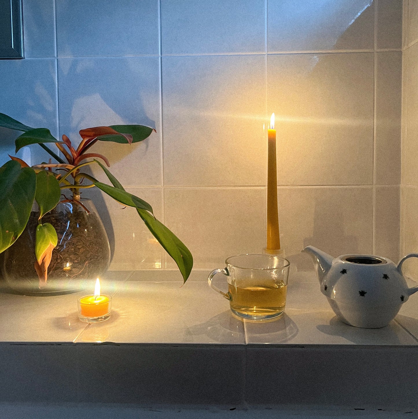 The Tealights