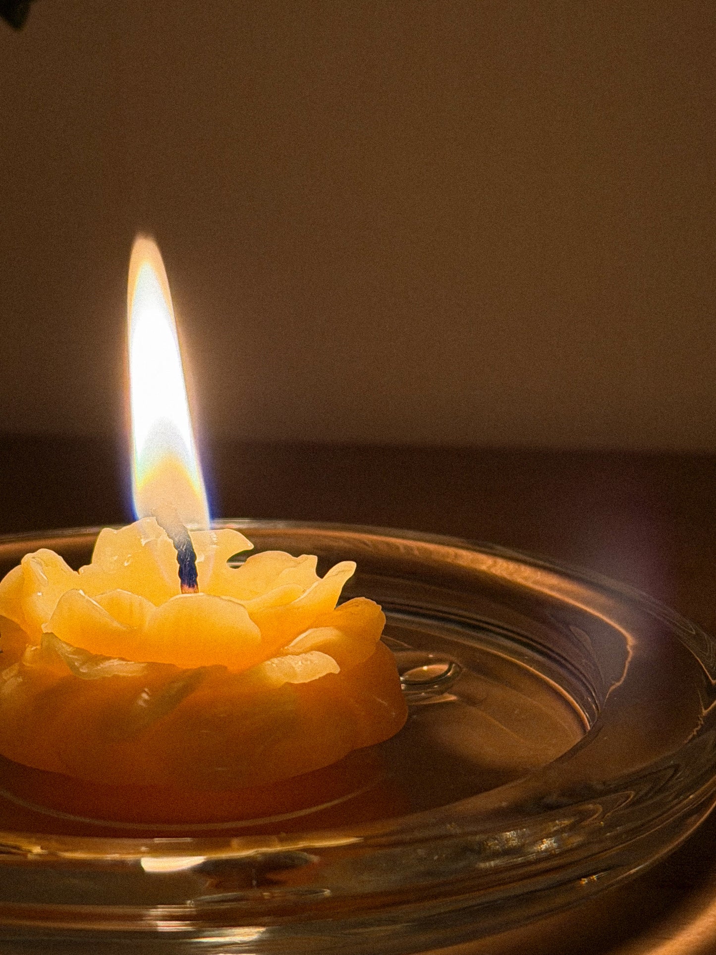 Peony Tealights
