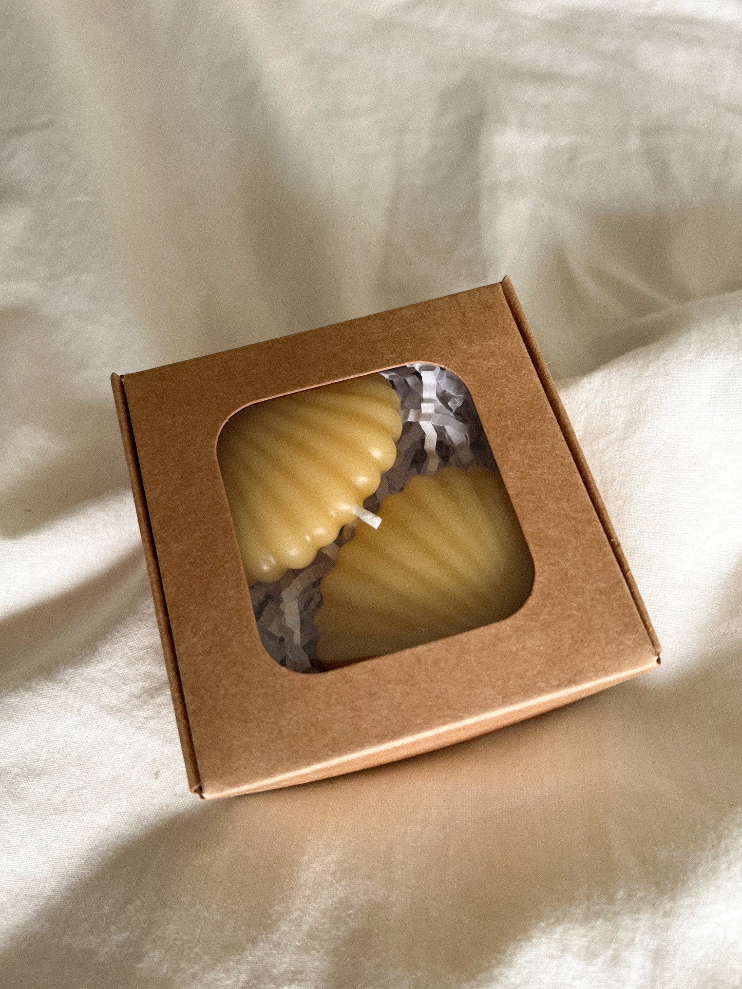 Sea Shell