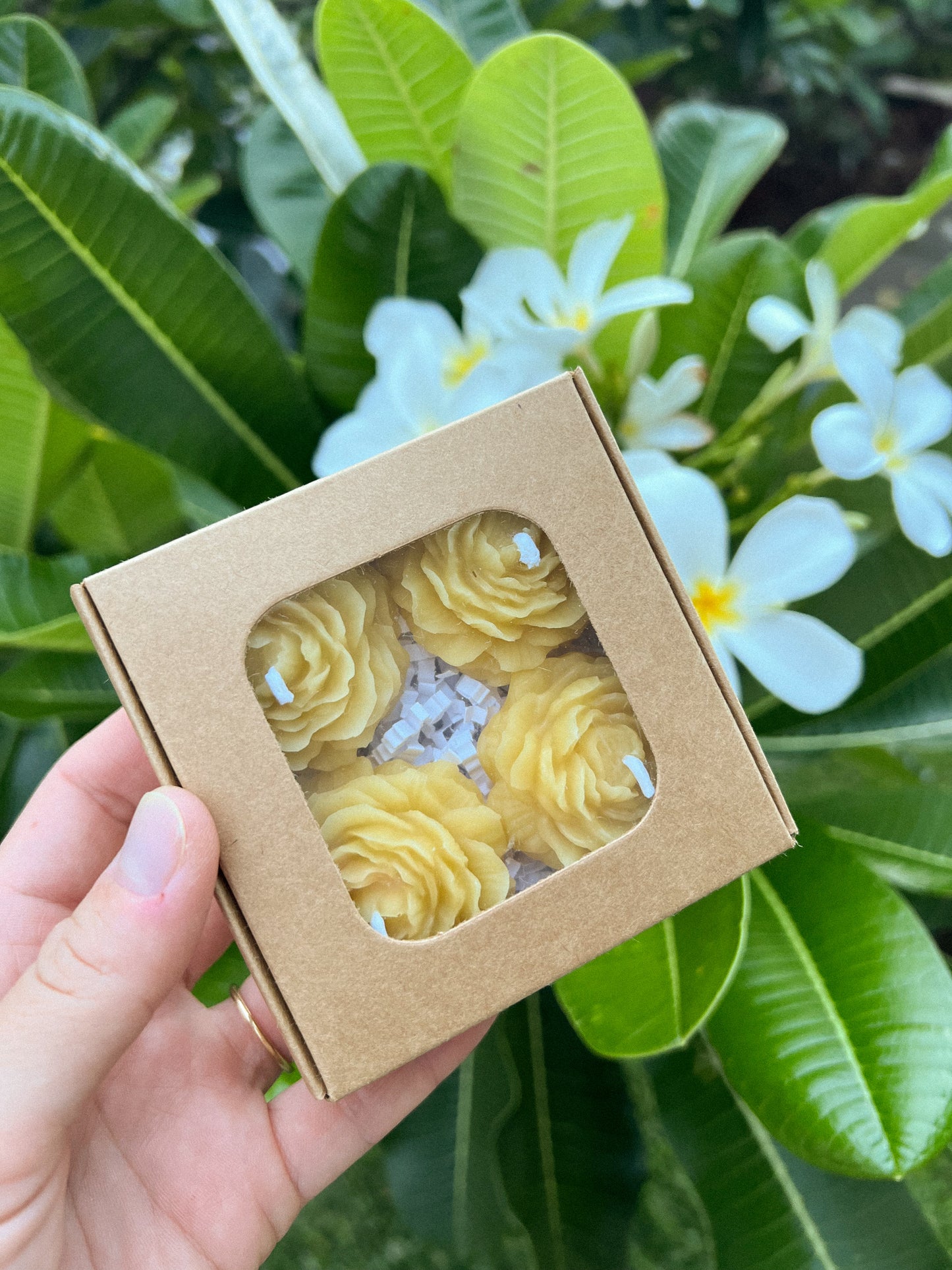 Peony Tealights