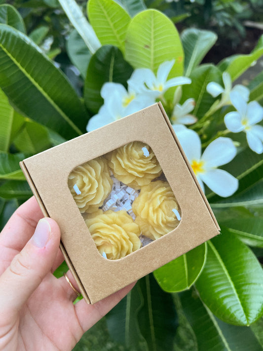 Peony Tealights